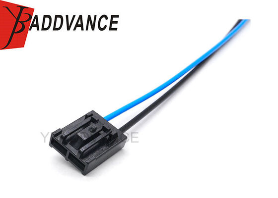 Hot-selling 2 Pin Female Automotive Electrical Fuel Pump Harness with High-temperature wire